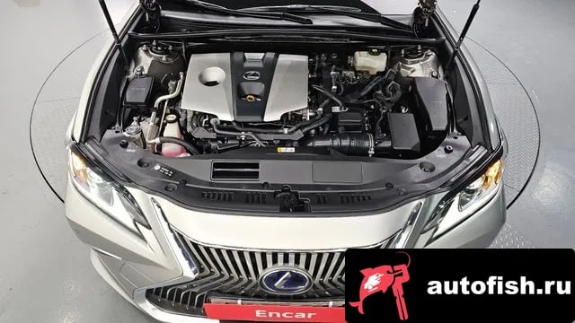 Lexus ES ES300h 7th generation 2020 года - вид 6