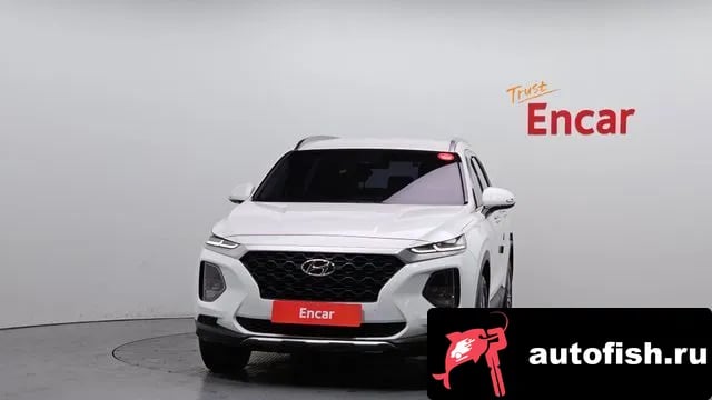 Hyundai Santafe San Tafe TM 2019 года - вид 3