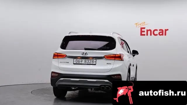 Hyundai Santafe San Tafe TM 2019 года - вид 4