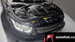 Миниатюра 6