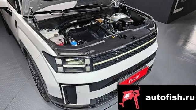 Hyundai Santafe San Tafe (MX5) 2024 года - вид 6