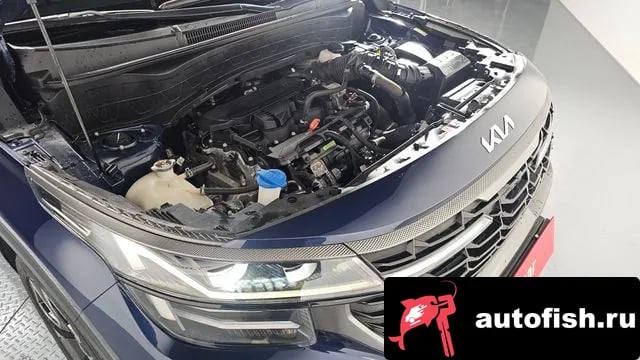 Kia Seltos The New Celtos 2023 года - вид 6