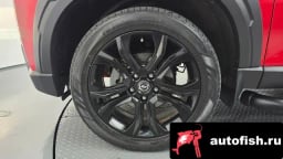 Миниатюра 5