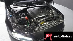 Миниатюра 6