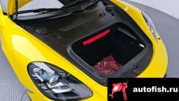 Миниатюра 6