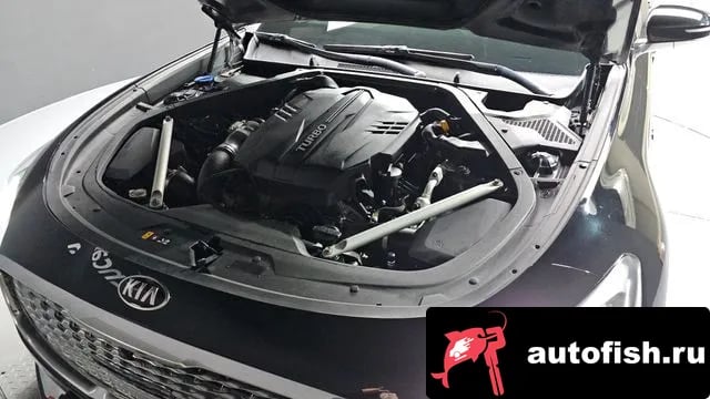 Kia K9 More K9 2021 года - вид 6