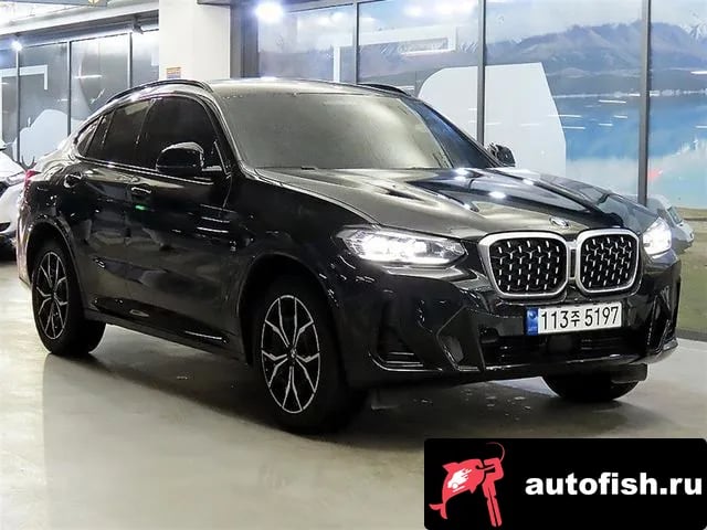 BMW X4 X4 (G02) 2023 года - вид 1