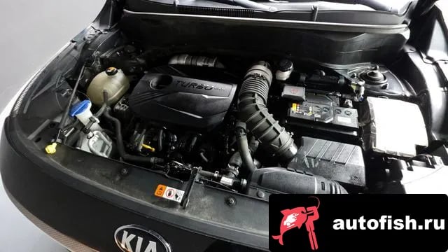 Kia Seltos Celtos 2020 года - вид 6