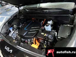 Миниатюра 6