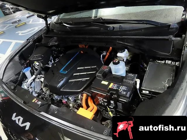 Kia Niro Niro Plus 2023 года - вид 6