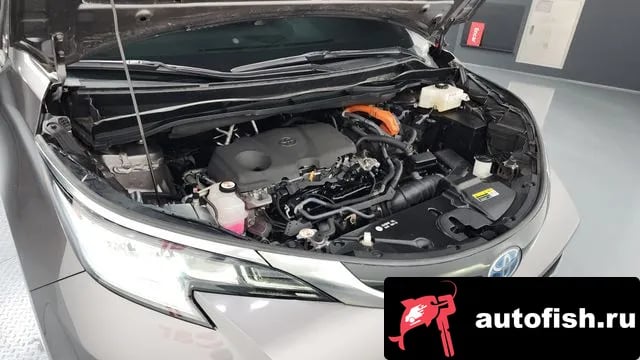 Toyota Sienna Siena 4th Generation 2023 года - вид 6