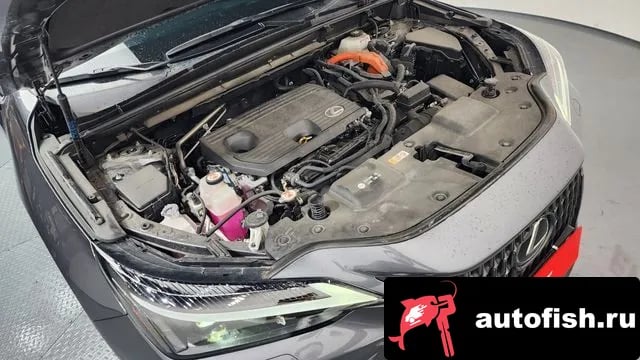 Lexus NX NX350h Second generation 2024 года - вид 6