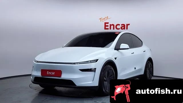 Tesla Model Y Model Y 2025 года - вид 1