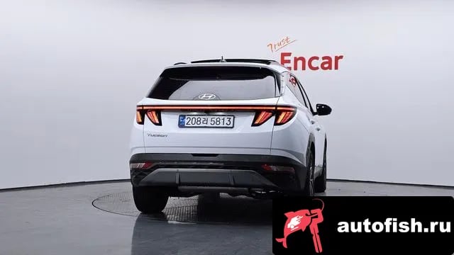 Hyundai Tucson Tucson Hybrid (NX4) 2022 года - вид 4
