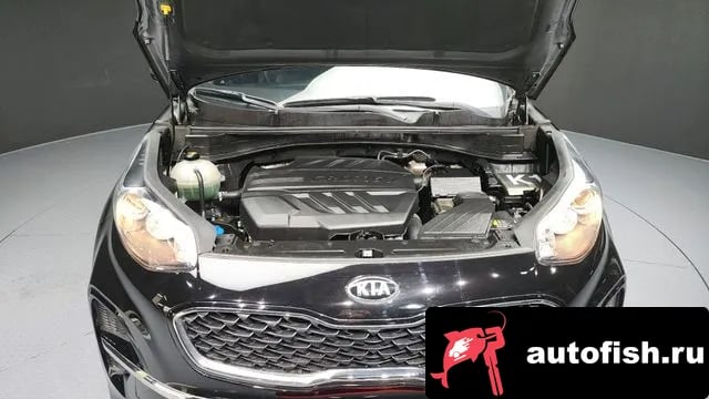 Kia Sportage Sportage The Bold 2019 года - вид 6
