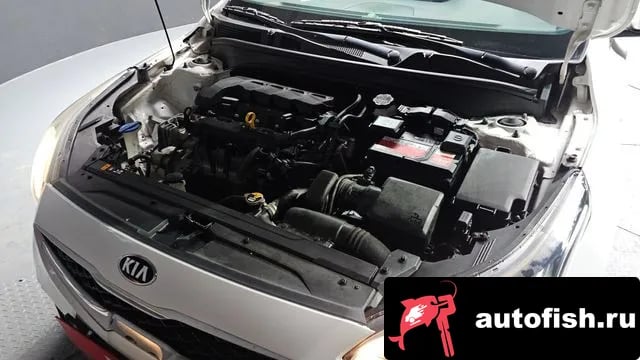 Kia K3 Come New K3 2019 года - вид 6