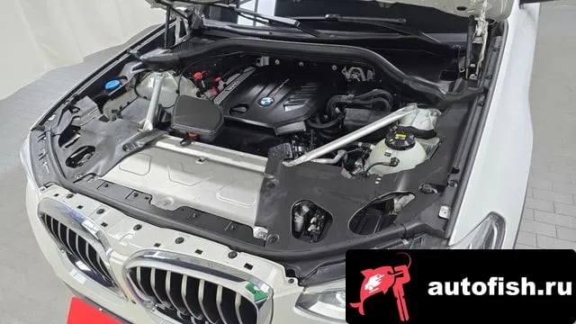 BMW X4 X4 (G02) 2020 года - вид 6