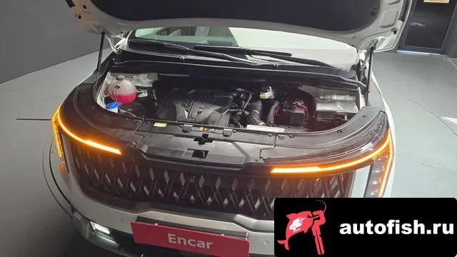 Kia Carnival The New Carnival 4th Generation 2024 года - вид 6