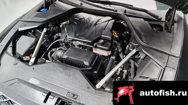 Genesis G80 G80 (RG3) 2020 года - вид 6