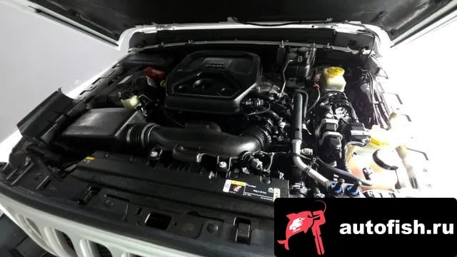 Jeep Wrangler Wrangler (JL) 2021 года - вид 6