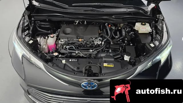 Toyota Sienna Siena 4th Generation 2022 года - вид 6