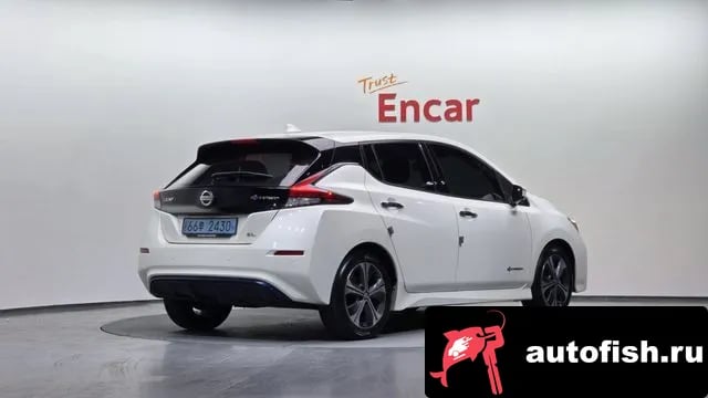 Nissan Leaf Leaf (ZE1) 2019 года - вид 1