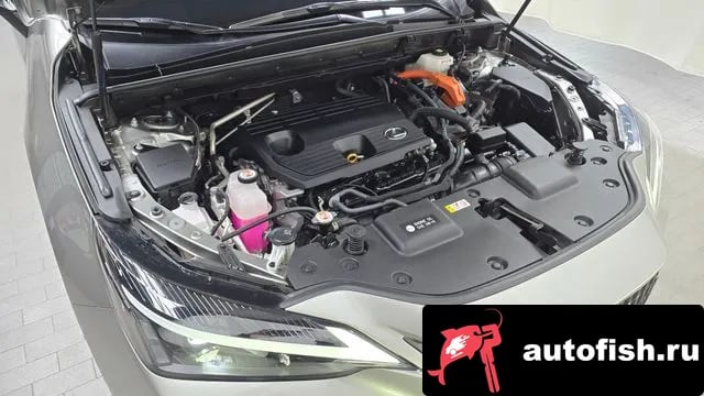 Lexus NX NX350h Second generation 2023 года - вид 6