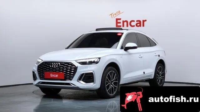 Audi Q5 Q5 (FY) 2023 года - вид 1