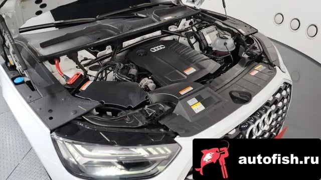 Audi Q5 Q5 (FY) 2023 года - вид 6