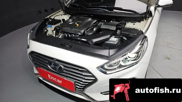 Hyundai Sonata Sonata New Rise 2018 года - вид 6