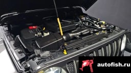 Миниатюра 6