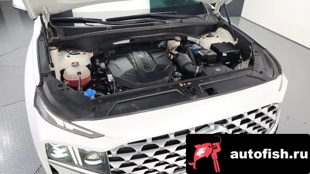 Hyundai Santafe The New San Tafe 2020 года - вид 6