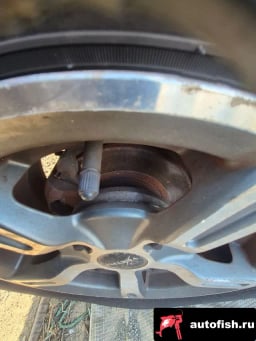 Миниатюра 4