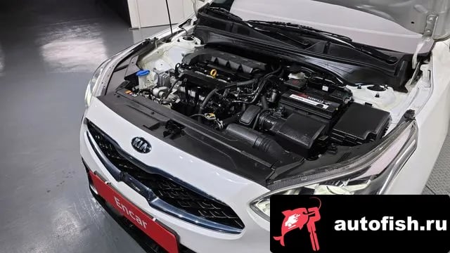 Kia K3 Come New K3 2019 года - вид 6