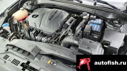 Миниатюра 6