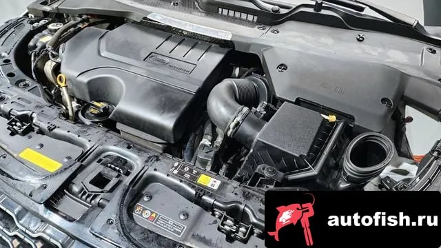 Land Rover Range Rover Evoque Range Rover Evoque 2nd Generation 2021 года - вид 6