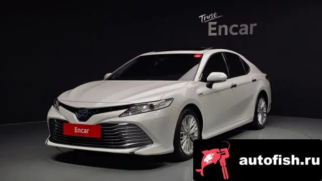 Toyota Camry Camry (XV70) 2019 года - вид 1