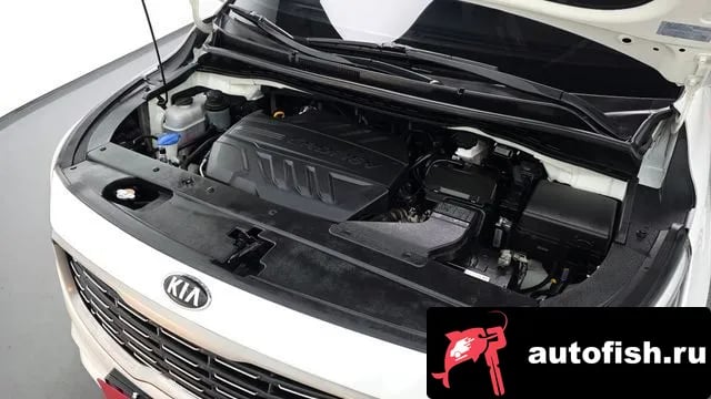 Kia Carnival The New Carnival 2020 года - вид 6