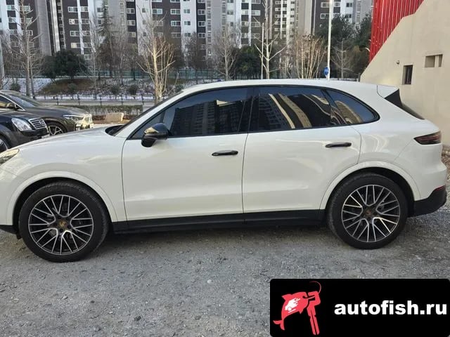 Porsche Cayenne Cayenne (PO536) 2019 года - вид 4