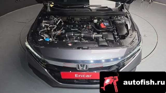 Honda Accord Accord 10th Generation 2019 года - вид 6