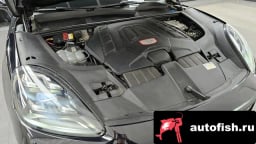 Миниатюра 6