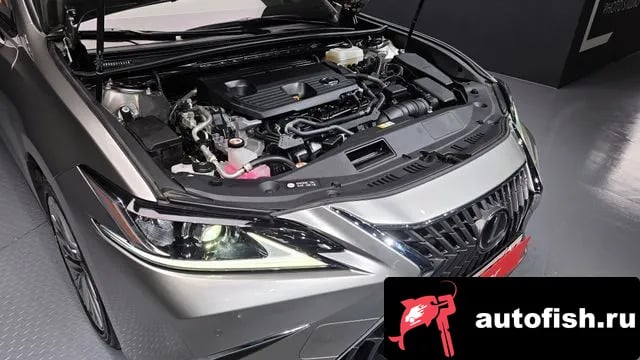 Lexus ES ES300h 7th generation 2022 года - вид 6