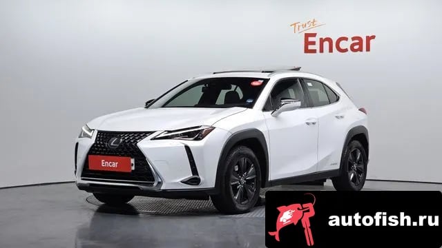 Lexus UX UX250h 2020 года - вид 1