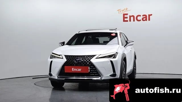 Lexus UX UX250h 2020 года - вид 3