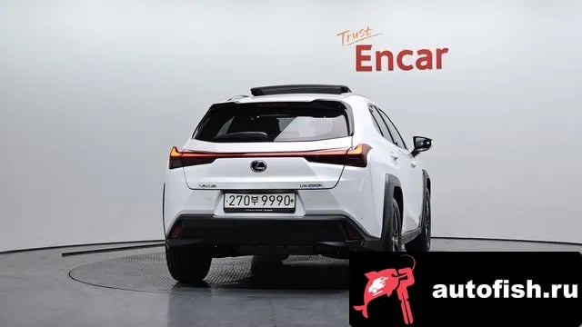 Lexus UX UX250h 2020 года - вид 4