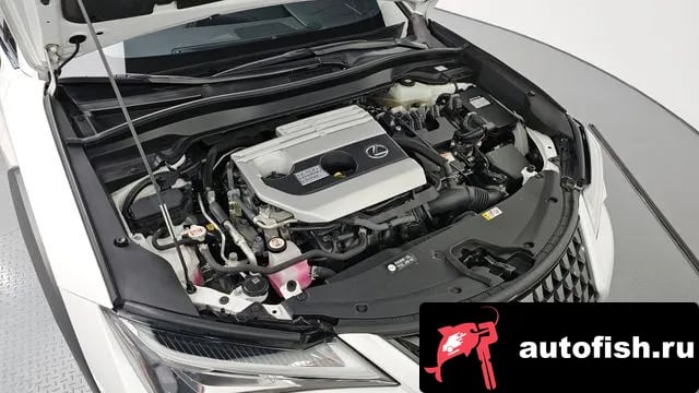 Lexus UX UX250h 2020 года - вид 6