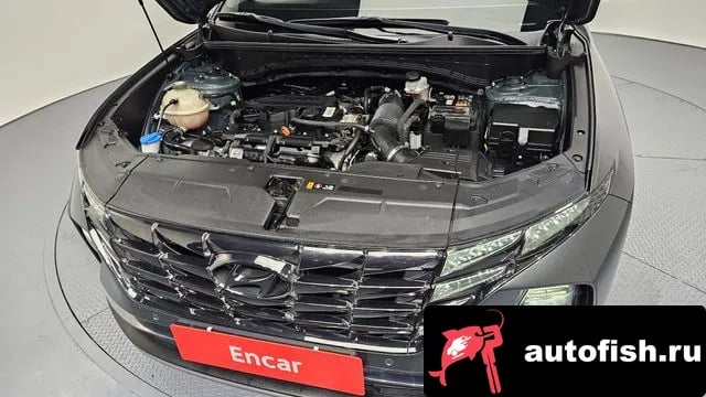 Hyundai Tucson Tucson (NX4) 2020 года - вид 6