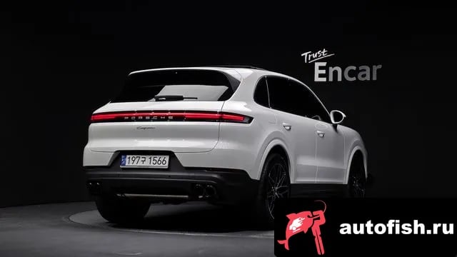 Porsche Cayenne Cayenne (PO536) 2024 года - вид 2