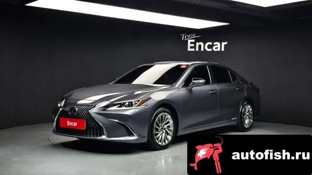 Lexus ES ES300h 7th generation 2020 года - вид 1