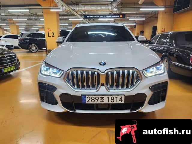 BMW X6 X6 (G06) 2023 года - вид 1